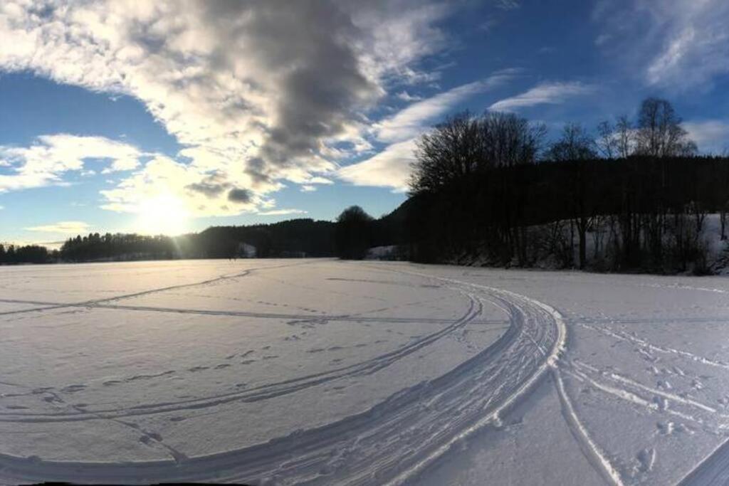 La Casa Nostra In Asker, Only 17 Minutes To Oslo Lejlighed Eksteriør billede